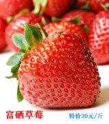 吃富硒草莓,到苏州农夫草莓园