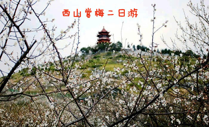 苏州西山赏梅二日游推荐