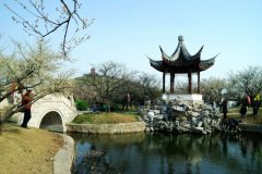 2013年苏州太湖西山梅花节赏梅，