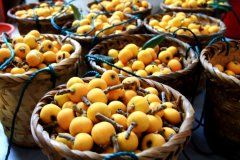 枇杷采摘很多热，几多欢喜几度忧