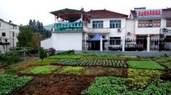 梅园附近农家乐推荐包山梅林农家